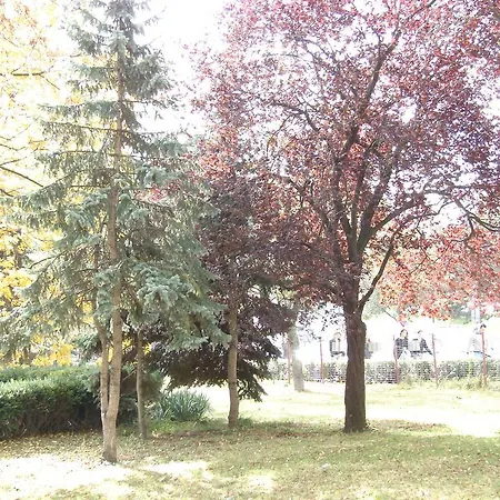 Central City Ap Sibiu Exterior foto