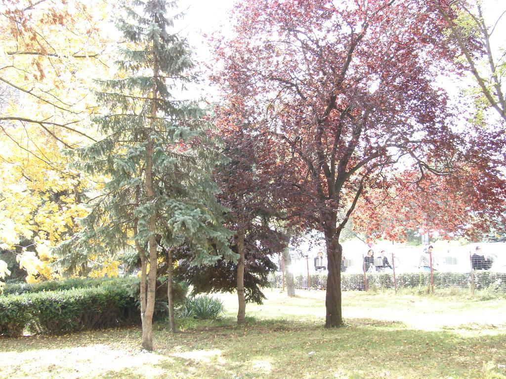 Ap Apartament Sibiu